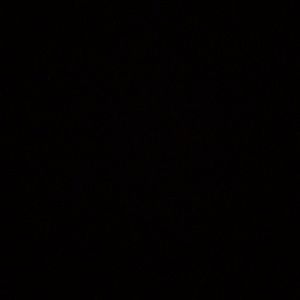 Meet your Posher, Fallyn